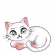 Sizecat_Vault