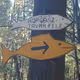 FollowTheFish
