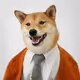 0x0368bec04b11c47a6bb72d611282bb80e029c0c7