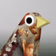 ForTheBirds