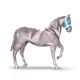 spacevert