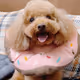 Samoyed714