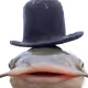 0x03bdd7f74febb704cb2056be739f3f321389de4a