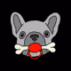 BarkHouseDogClub