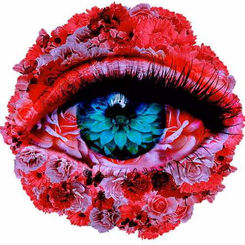 OpenSea profile picture for @RUN