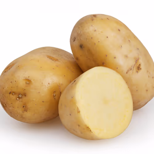 OpenSea profile picture for @Potatoes