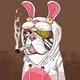 Squirrel_stash