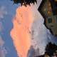 bitvik