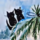 Abstract_Cats