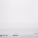 wrhdvnmj
