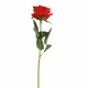 Gabriella_dot_nft