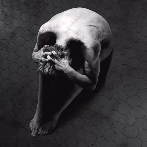 OpenSea profile picture for @Crises