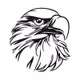 PaulHawks