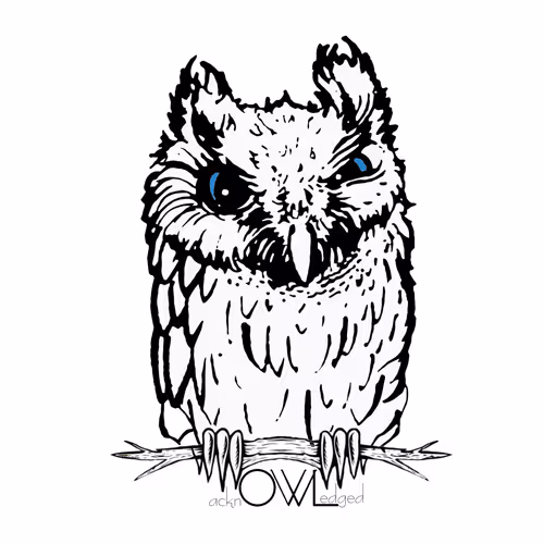 OpenSea profile picture for @acknOWLedged