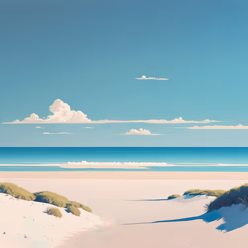 OpenSea banner for @acknOWLedged