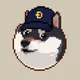 Dogecoiner