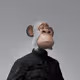 ilpolpo