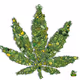 Mallajuana