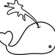 SHNELVIS