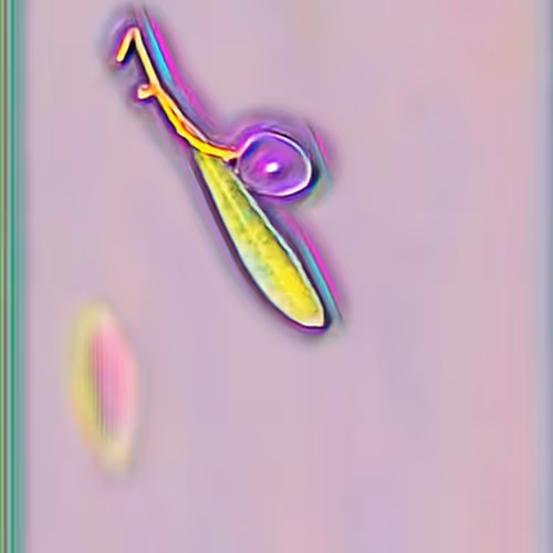 OpenSea profile picture for @Snooping
