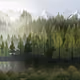 Emerald_Mists