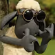 darksheep.eth
