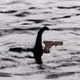 glock-nes-monster