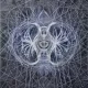 darkmatter