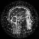 elusiviscerebral