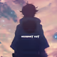 hiranmay247