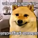 mehedi954