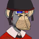 DomPov1