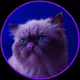 zMIGGLES