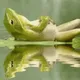PKingDuck