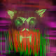 maddogbarker