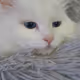 Heejn75