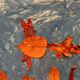 The_Collector_