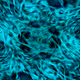 0x05cc88aeae3bfc7683f5d98d60f0efe090640aeb