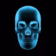 Babyblueskull