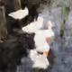 0x0618dc624162768abd5b6e30a41b0466decef133
