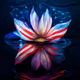 suhaybpatel