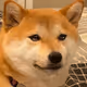 0x0633bf903b5105a023996824e1f84936b9af0c8a