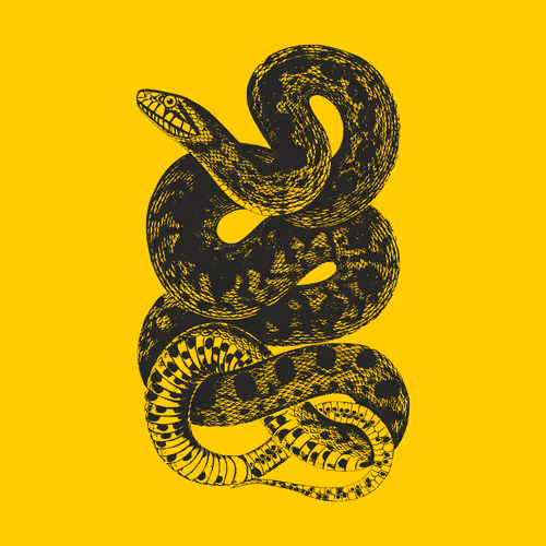 OpenSea profile picture for @bended