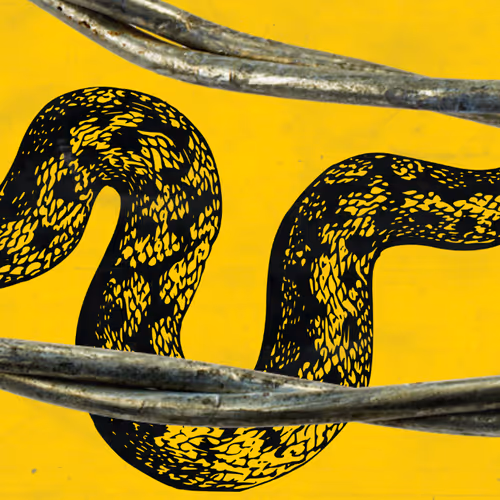 OpenSea banner for @bended