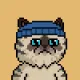 B-Base