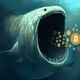 whale666.eth