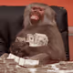 M0neyMonkey
