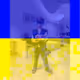 Nikinida