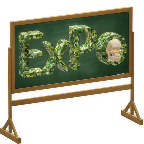 OpenSea profile picture for @ExPo