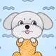 Pim_X